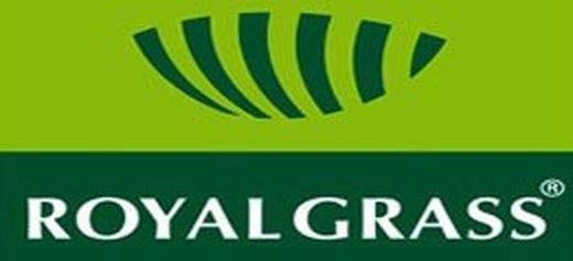 Gespa artificial Royal Grass ®
