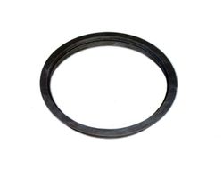 Escocells CERCLE PALMERA A-302 de fosa dúctil