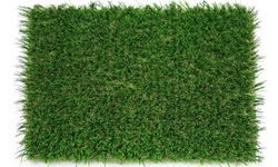 Césped Artificial Delite