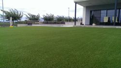 Gespa Artificial Seda