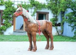 Figura de Robinia CAVALL GEGANT