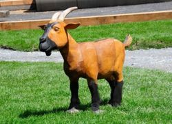 Figura de Robinia CABRA