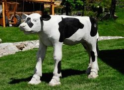 Figura de Robinia VACA