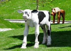 Figura de Robinia VACA