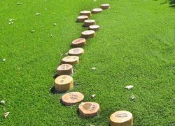 Joc d'educació PASSAREL·LA EMPREMTES