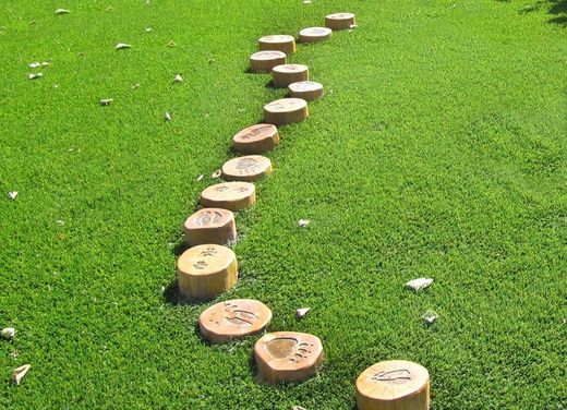 Joc d'educació PASSAREL·LA EMPREMTES