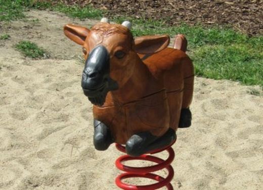 Juego de muelle CABRA de robinia