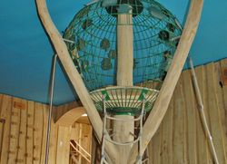 Joc interior de robinia ARBRE TREPADOR