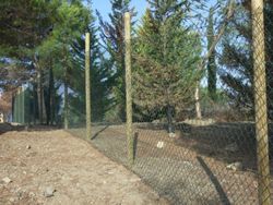 Malla simple torsión