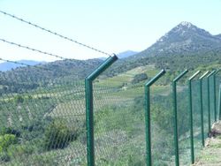 Malla simple torsión