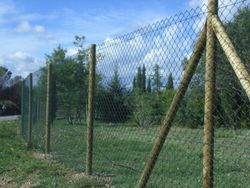 Malla simple torsión