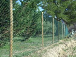 Malla simple torsión