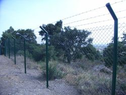 Malla simple torsión